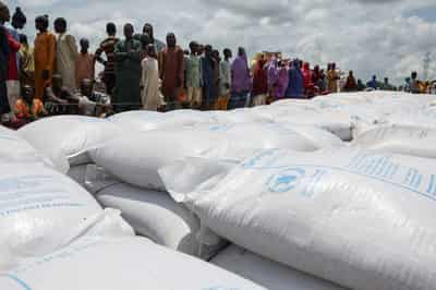 Image for Nigeria's northeast faces worst hunger in a decade as aid cuts hit region, UN says