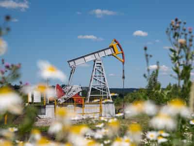 Image for Oil settles down after choppy session as traders follow US, Iran talks