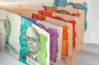 Image for Inflation and Economic Performance in Latin America: Challenges and Solutions
