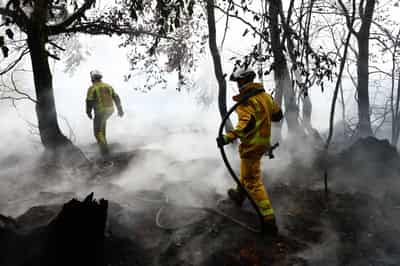 Image for Rainfall aids fight against Belgium's biggest wildfire, as blazes rip through Europe