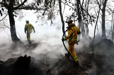 Image for Rainfall offers new hope in fight against Belgium's biggest wildfire