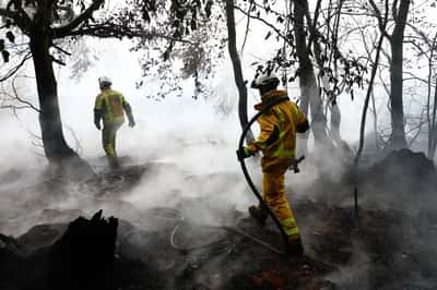 Image for Rainfall offers new hope in fight against Belgium's biggest wildfire