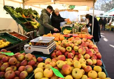 Image for German wholesale price rise slows in October