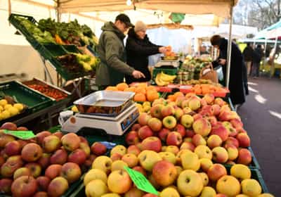 Image for German wholesale price rise slows in October
