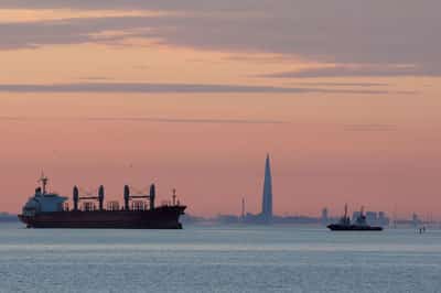 Image for Exclusive-Russia's Rusagro for first time exports sunflower oil from St Petersburg