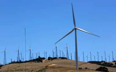 Image for Analysis-Bear market puts ESG investing to its first big test