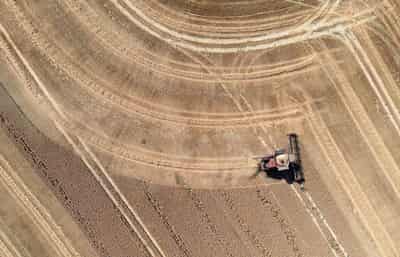 Image for Drought-hit Britain heads for worst cereal harvest in four decades
