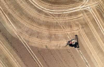 Image for Drought-hit Britain heads for worst cereal harvest in four decades