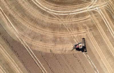 Image for Drought-hit Britain heads for worst cereal harvest in four decades