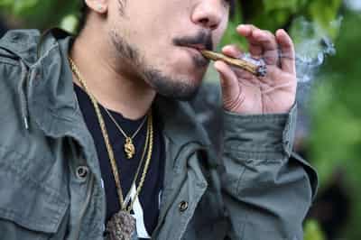 Image for Germany restricts online cannabis sales amid import boom