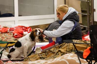 Image for Ukraine F-16 pilot killed in large-scale Russian attack, Zelenskiy calls for US help