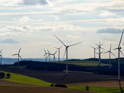 Image for Germany moves to strengthen domestic wind power industry
