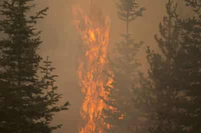 Image for Lightning found to have ignited Oregon&#8217;s mammoth Bootleg fire
