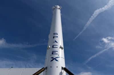 Image for US space stocks rise on SpaceX IPO hype
