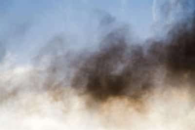 Image for Can Your Company Claim From the Diesel Emissions Scandal?