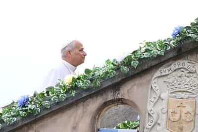 Image for Pope Leo commits to ending abuse by priests in meeting with French survivors, Vatican says