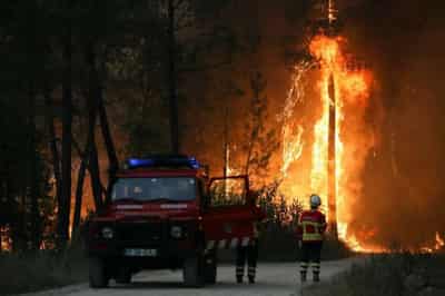 Image for Scorching heatwave sparks wildfires in Europe