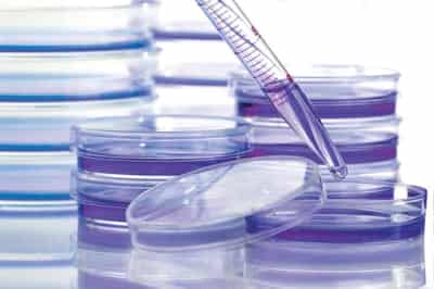 Image for Cancer coalition aims to boost access to medicines in poorer countries