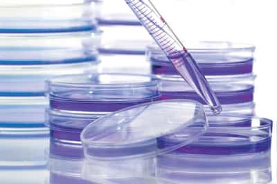 Image for Cancer coalition aims to boost access to medicines in poorer countries