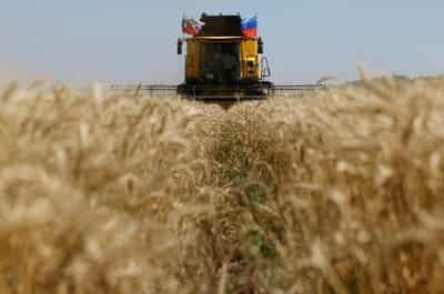 Image for Ukraine 2026 wheat crop seen at 22-23 million tons, farmers union says