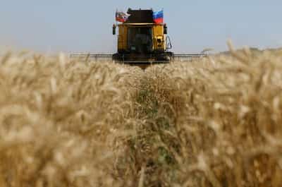Image for Ukraine 2026 wheat crop seen at 22-23 million tons, farmers union says