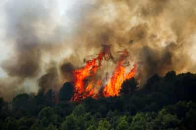 Image for Climate change made 'fire-prone' weather conditions more likely in Spain and France, scientists say