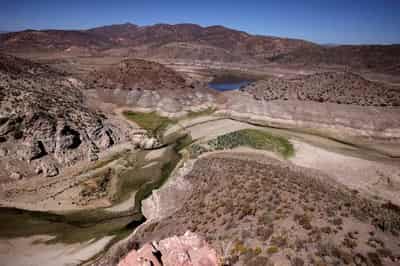 Image for Exclusive-UN calls for $2.6 trillion investment to reverse land degradation