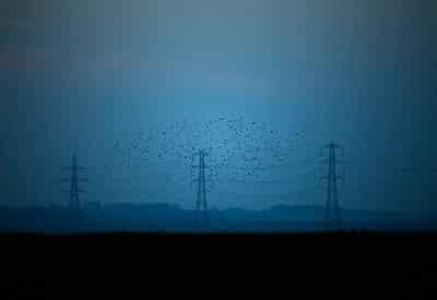 Image for UK energy regulator proposes new rules to cut backlog of projects awaiting grid link-up