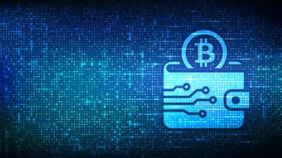 Image for Crypto Wallet Compatibility With Autonomous Blockchain Systems: What You Need To Know