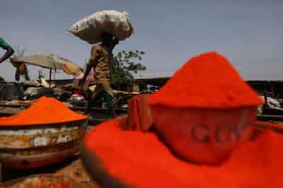 Image for From Nigeria to Brazil &#8216;halo&#8217; crops reap pandemic profits