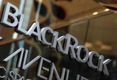 Image for BlackRock ups focus on &#8216;natural capital&#8217; ahead of AGM season