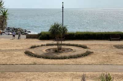 Image for UK to manage water resources carefully as drought continues