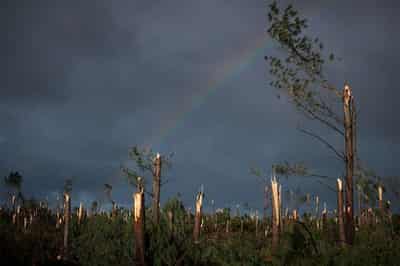 Image for Portugal counts multi‑billion‑euro damage after Storm Kristin tears off roofs