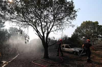 Image for Spain, France battle wildfires as heat grips southern Europe