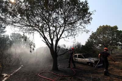 Image for Spain, France battle wildfires as heat grips southern Europe