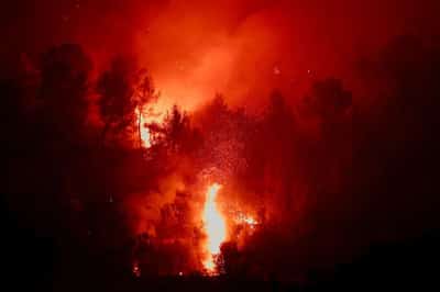 Image for Analysis-Europe's wildfire season exposes climate insurance gap