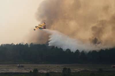 Image for Fire crews keep blazes near Bordeaux under control as heatwave picks up
