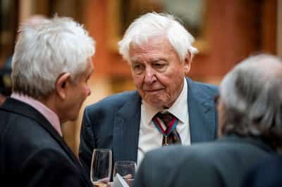 Image for David Attenborough, 'the voice for nature,' turns 100