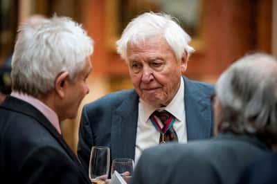 Image for David Attenborough, 'the voice for nature,' turns 100