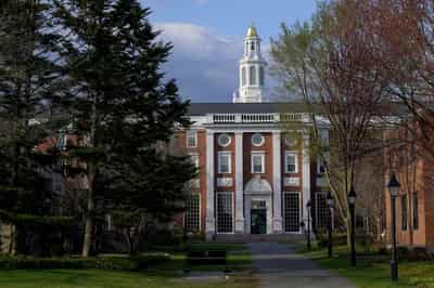 Image for Judge blocks Trump ban on Harvard's international students