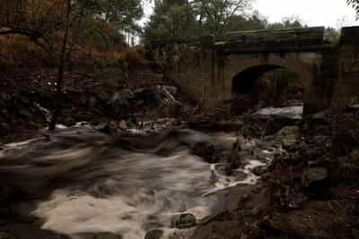 Image for Wildfire ash turns Spanish mountain river black, contaminating water supply
