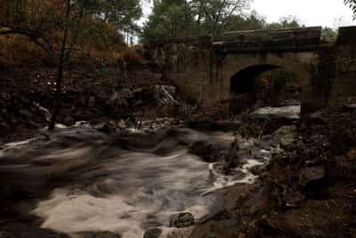 Image for Wildfire ash turns Spanish mountain river black, contaminating water supply