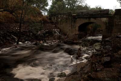 Image for Wildfire ash turns Spanish mountain river black, contaminating water supply