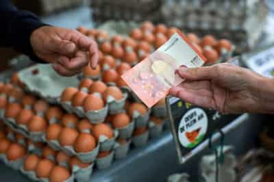 Image for Anxious French consumers cut back as election and budget battles loom
