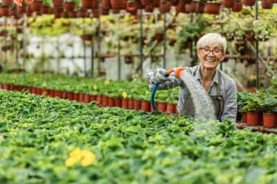 Image for Why traditional retirement is bad for business