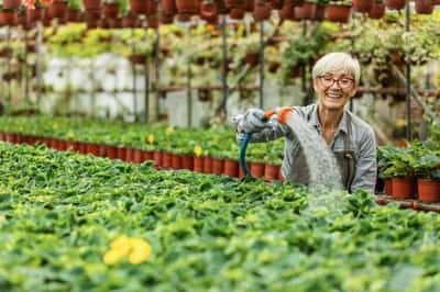 Image for Why traditional retirement is bad for business
