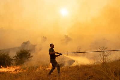 Image for EU sends helicopters, firefighters to Serbia to tackle wildfires