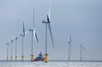 Image for Dutch postpone offshore wind farm tenders due to low interest