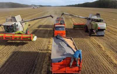 Image for Russian wheat rises on stronger rouble, talks to prolong Black Sea export deal