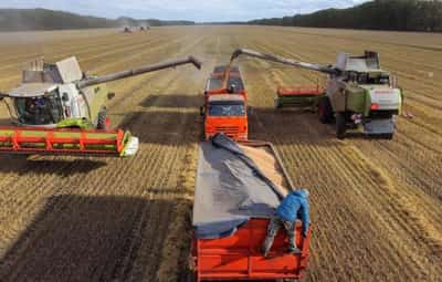 Image for Russian wheat rises on stronger rouble, talks to prolong Black Sea export deal